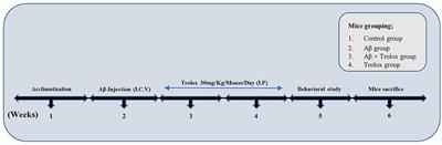 Multifaceted neuroprotective approach of Trolox in Alzheimer's disease mouse model: targeting Aβ pathology, neuroinflammation, oxidative stress, and synaptic dysfunction